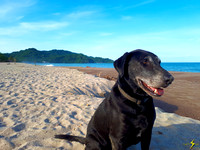 Chevy - Lo de Marcos beach