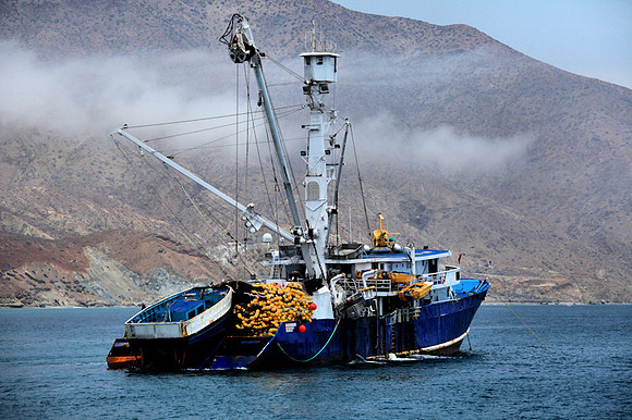 Tuna Boat in Safe Harbor