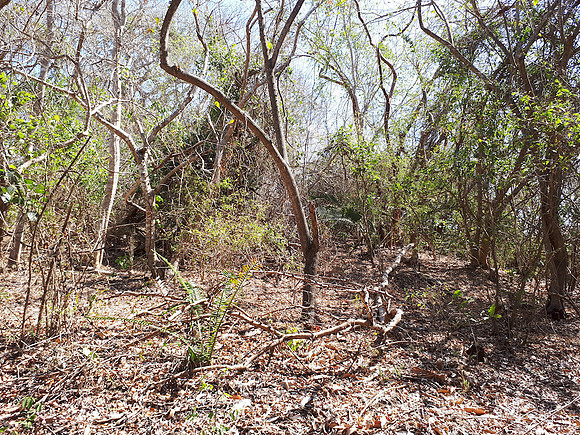 Gradual slopes overlooking the flats