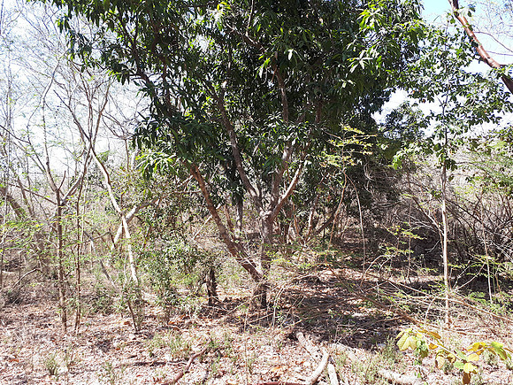 Gradual slopes overlooking the flats