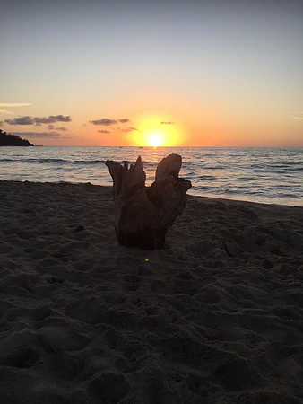 Our meditation log - Lo de Marcos
