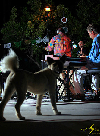 Four-legged Fan of the Music