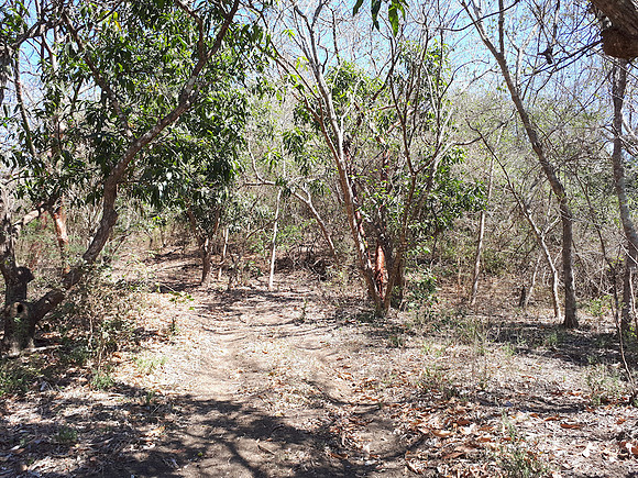 Lower section is flat and well vegetated