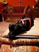 Xochitl's First Night