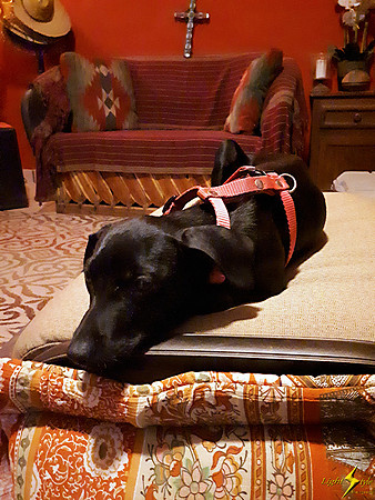 Xochitl's First Night