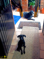 Chevy and Xochitl