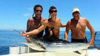 Team Marlin