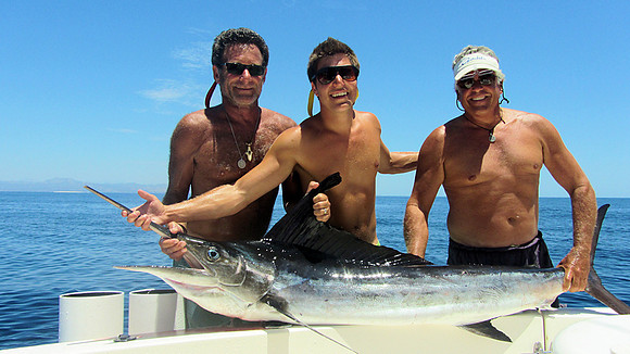 Team Marlin