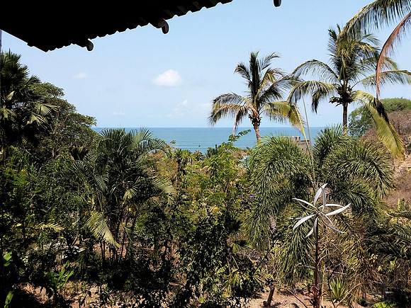 View from Outdoor Terrace