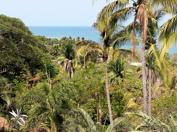 View from Outdoor Terrace