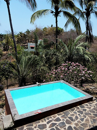 Pool with View