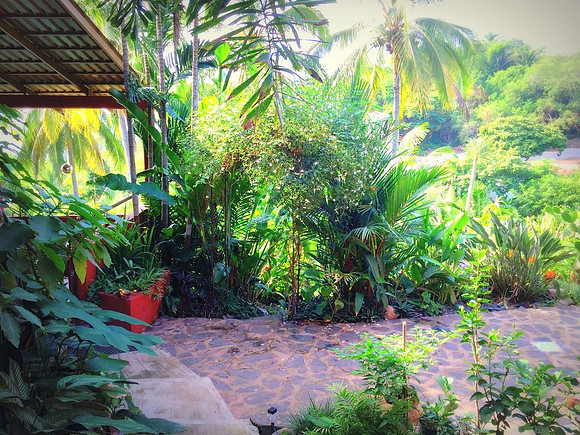 Garden patio