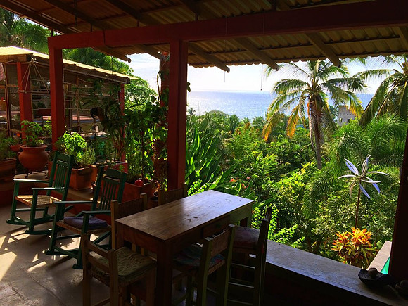 View from Outdoor Terrace