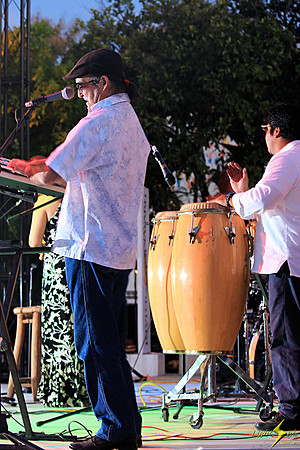 Azucar Latina