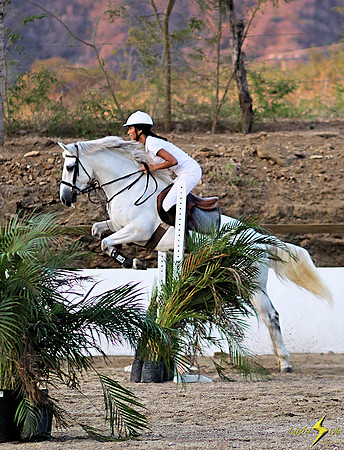 Determined Jumper