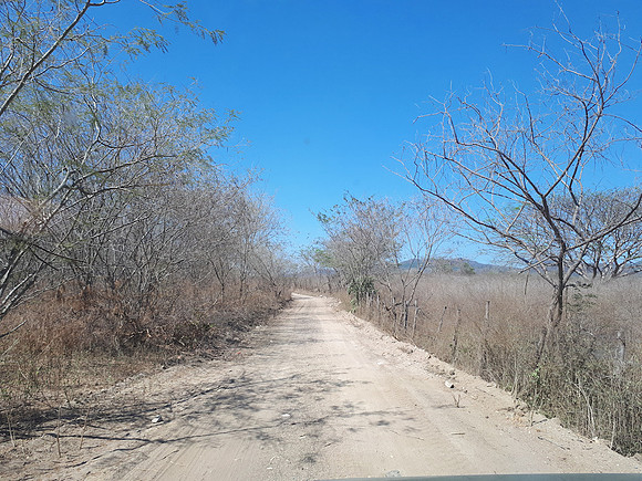 Primary road to property entrance