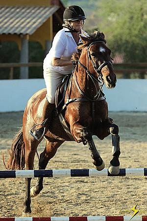 Tracie Willis