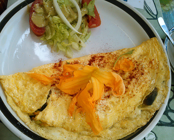 Omelette_squash blossum