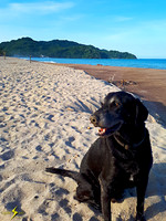Chevy - Lo de Marcos beach