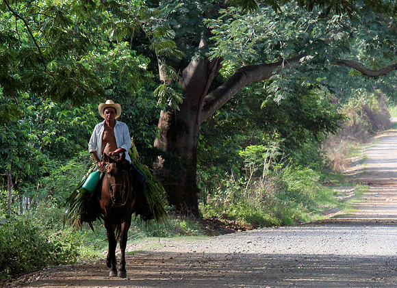 Daily Commute