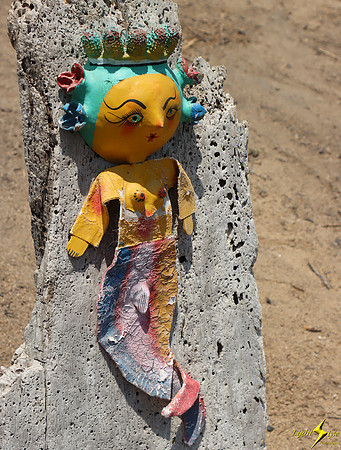 Another Guardian of the Garden