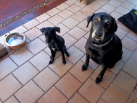 Chevy and Xochitl