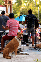 Diego Chavez & 4-legged Groupie