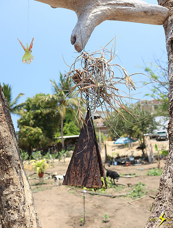 Mayto Community Garden
