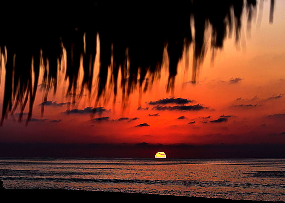 Sunset From Under A Palapa