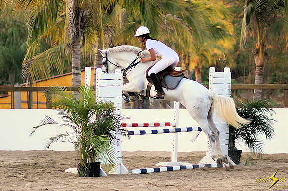 Determined Jumper