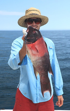 Sheepshead - Derrick