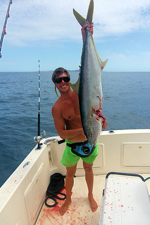 Yellow Tail - Matt