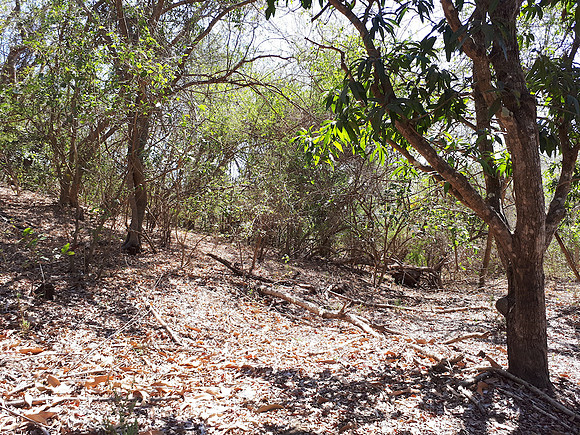 Gradual slopes overlooking the flats