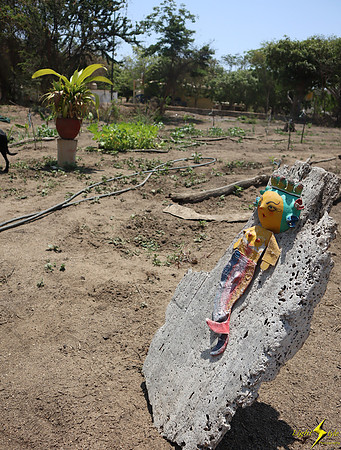 Mayto Community Garden