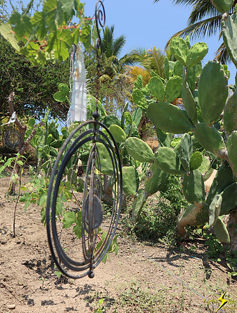Mayto Community Garden