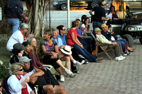Music Festival Audience