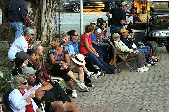 Music Festival Audience