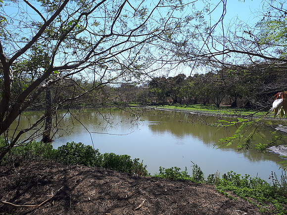 Well established pond - on adjacent property