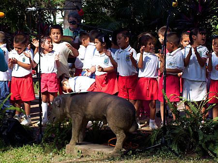 2007 Music Festival  - kindergarten