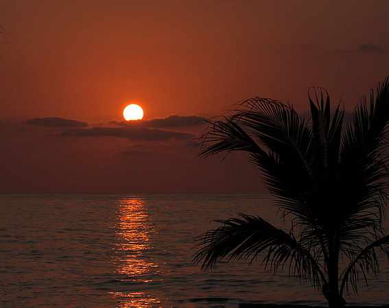 Sunset On the Playa