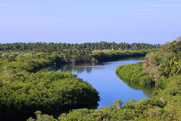 Playa Tortuga