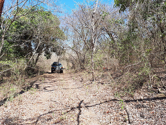 Entrance to property