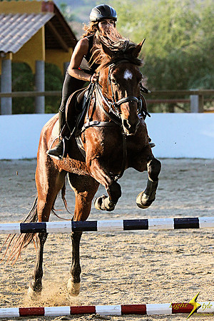 Desiree Aslan
