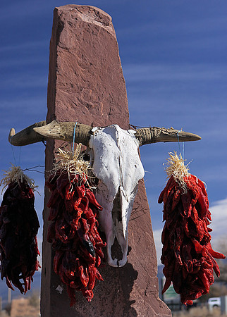 Skull and Chile Ristras