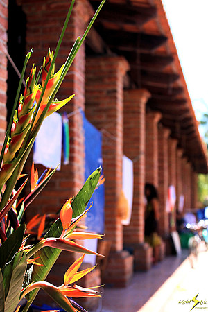 The Market
