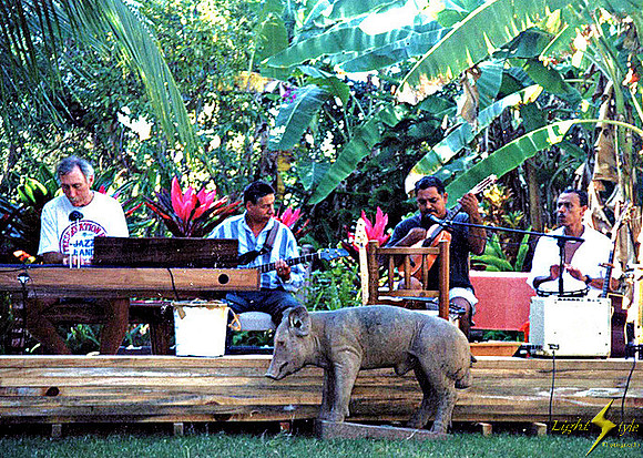 2002 Music Festival - Puerco's