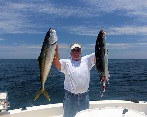 Yellow Tail - Chris