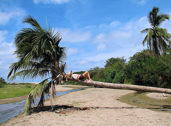 No Hammock
