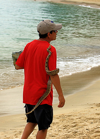 The Beach Peddler